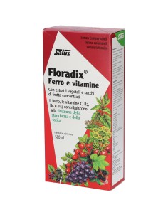 FLORADIX FERRO E VITAMINE 500 ML