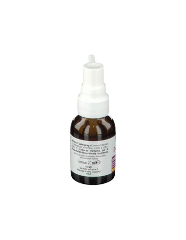 ESI ECHINAID GOLA SPRAY ANALCOLICO 20 ML