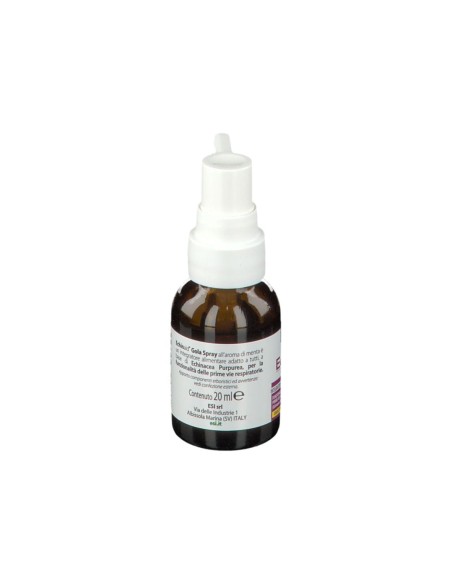 ESI ECHINAID GOLA SPRAY ANALCOLICO 20 ML