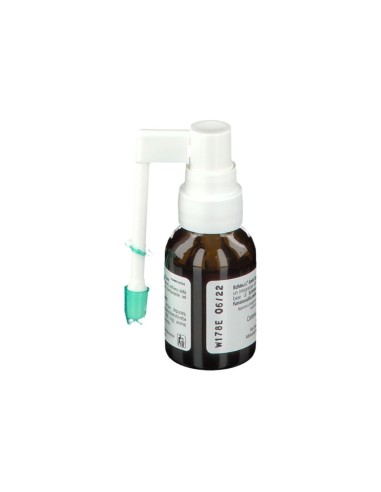 ESI ECHINAID GOLA SPRAY ANALCOLICO 20 ML