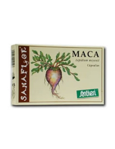 MACA 60 CAPSULE 26 G STV