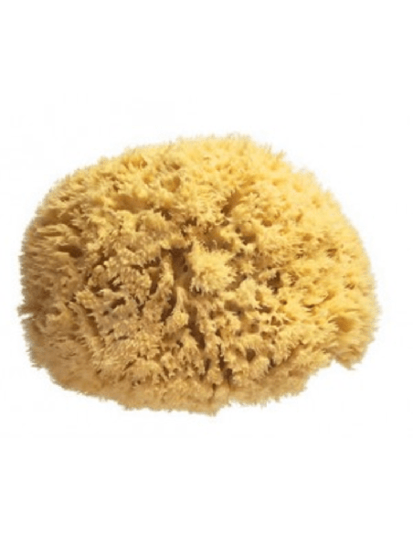 SPUGNA NATURALE GRANDE