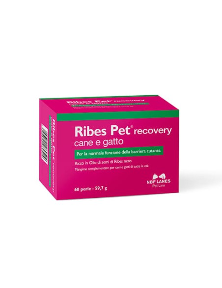 RIBES PET BLISTER 30 PERLE