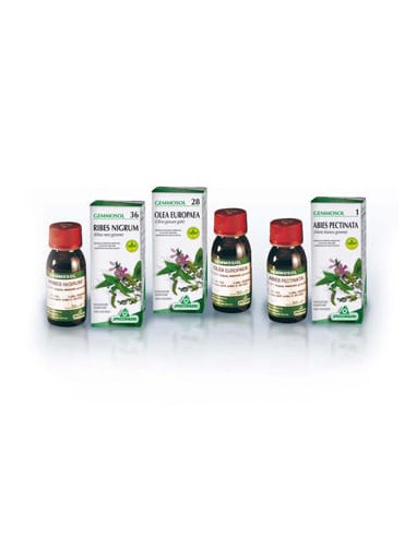 GEMMOSOL 46 TIGLIO ARGEN 50ML