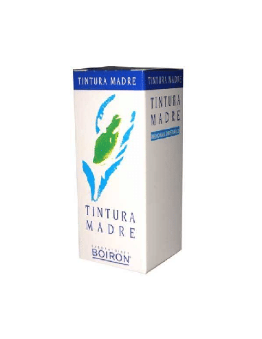 TILIA TOMENTOSA TINTURA MADRE 60 ML