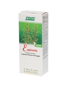 EQUISETO SUCCO 200 ML