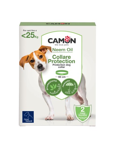 PROTECTION COLLARE BARRIERA PER CANE