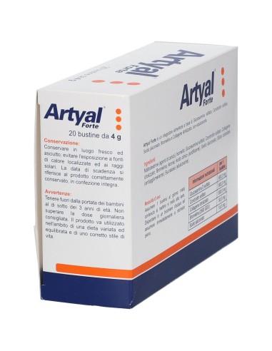 ARTYAL FORTE 20 BUSTINE
