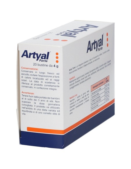 ARTYAL FORTE 20 BUSTINE