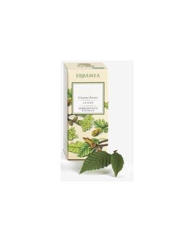 BETULA VERRUCOSA LINFA GEMMODERIVATO BIO 50 ML