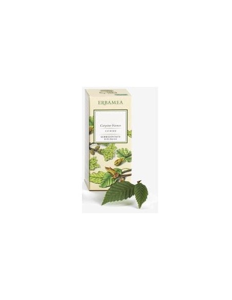 BETULA VERRUCOSA LINFA GEMMODERIVATO BIO 50 ML