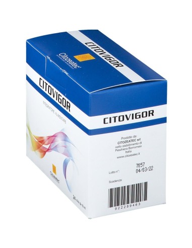 CITOVIGOR 24 BUSTINE STICK PACK DA 10 ML