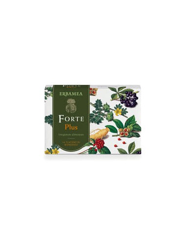 FORTE PLUS 14FLUIDO MONOD 10 ML