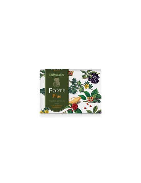 FORTE PLUS 14FLUIDO MONOD 10 ML