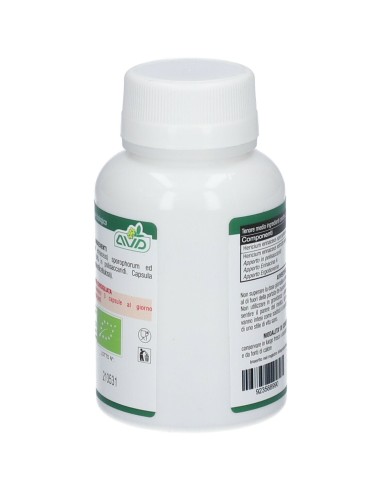 MICOTHERAPY HERICIUM 90 CAPSULE