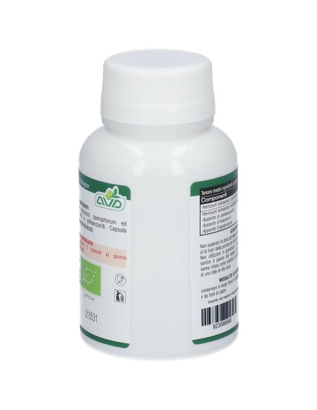 MICOTHERAPY HERICIUM 90 CAPSULE