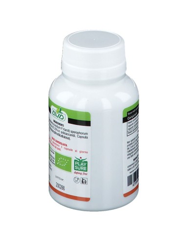 MICOTHERAPY REISHI 90 CAPSULE