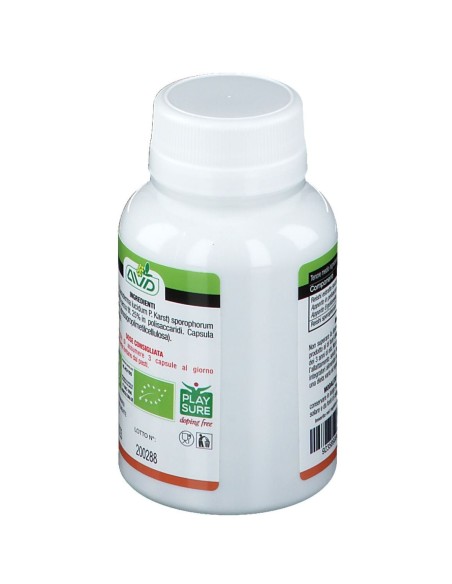 MICOTHERAPY REISHI 90 CAPSULE