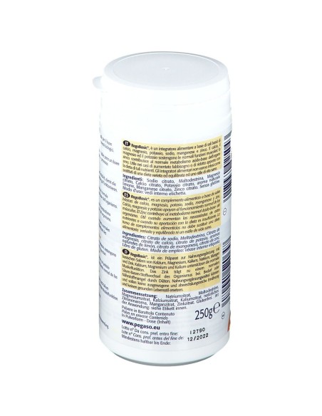 REGOBASIC POLVERE 250 G