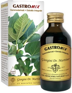 GASTROMIX LIQUIDO ANALCOLICO 200 ML