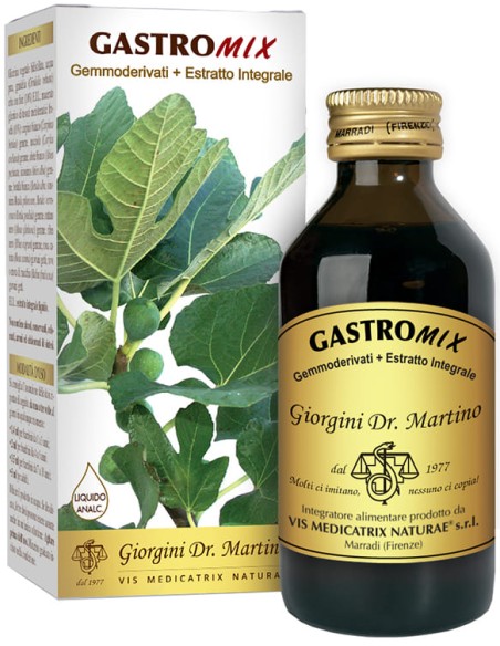 GASTROMIX LIQUIDO ANALCOLICO 200 ML