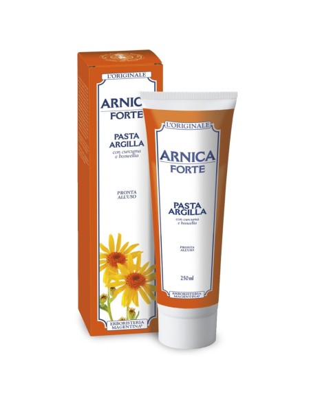 ARNICA FORTE PASTA ARGILLA 250 ML