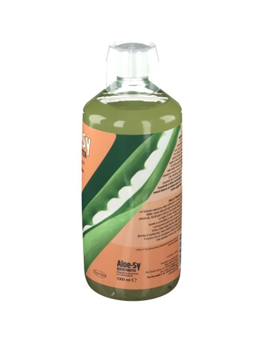 ALOE-SY GUSTO FRUTTA 1000 ML