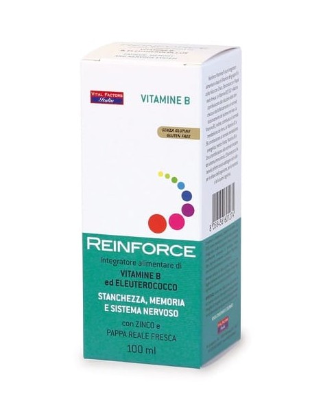 REINFORCE VITAMINA B 100 ML
