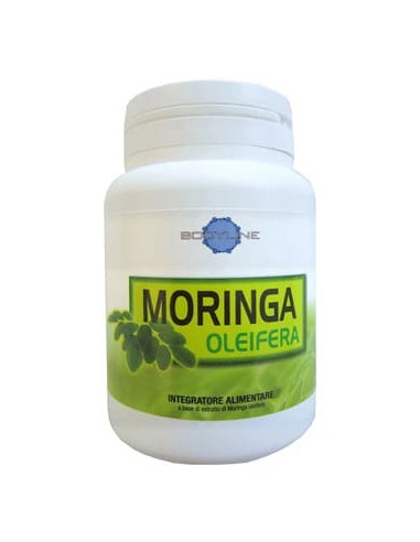 MORINGA OLEIFERA 60 CAPSULE