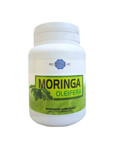 MORINGA OLEIFERA 60 CAPSULE