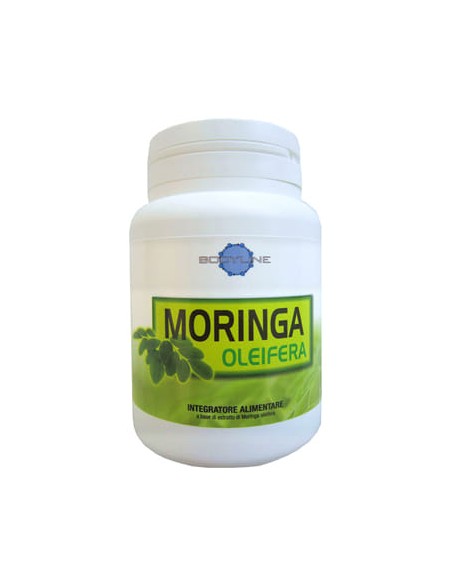 MORINGA OLEIFERA 60 CAPSULE