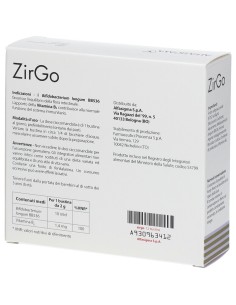 ZIRGO 12 BUSTINE 2