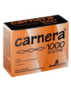 CARNERA 1000 18 BUSTINE