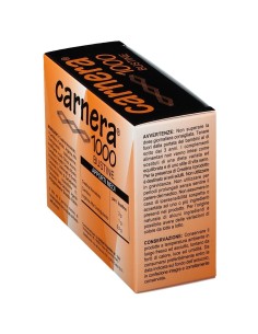 CARNERA 1000 18 BUSTINE 2