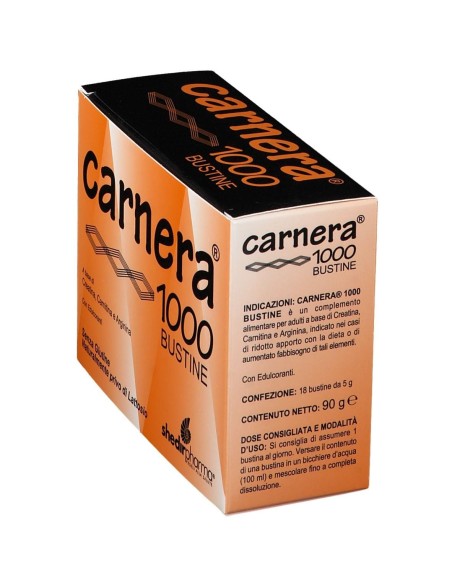 CARNERA 1000 18 BUSTINE