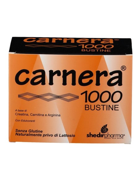 CARNERA 1000 18 BUSTINE