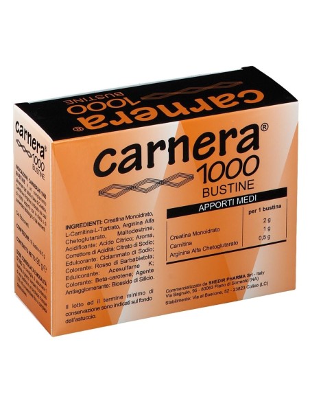 CARNERA 1000 18 BUSTINE