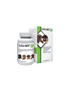 LEGART UP 60 COMPRESSE DA 1 G