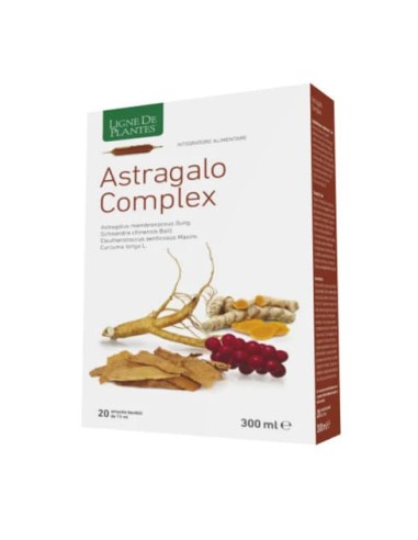 ASTRAGALO COMPLEX 20 AMPOLLE BEVIBILI DA 15 ML