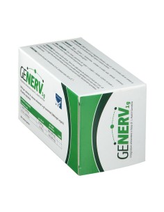 GENERV 20 BUSTINE 2