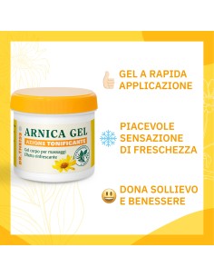 THEISS ARNICA GEL RAPIDO 200 ML 2