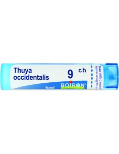 THUYA OCCIDENTALIS 9 CH GRANULI 4G