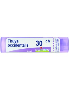 THUYA OCCIDENTALIS 30 CH GRANULI 4G