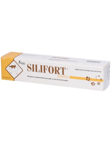 SILIFORT PASTA OS SIRINGA 30 G
