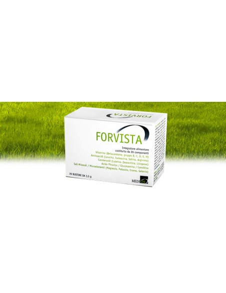 FORVISTA 30 BUSTINE
