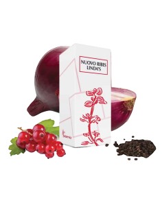 NUOVO RIBES LINDA'S GOCCE ORALI 50 ML