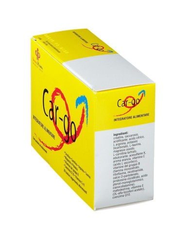 CAR-GO 20 BUSTINE DA 4 G
