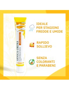 THEISS ARNICA POMATA RISCALDANTE 50 G 2