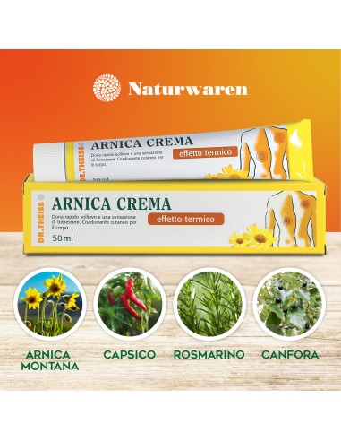 THEISS ARNICA POMATA RISCALDANTE 50 G
