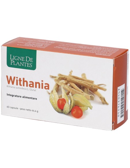 NATURA SERVICE WITHANIA 60 CAPSULE